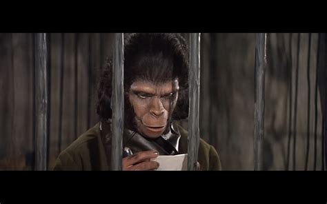 Kira (Kim Hunter) in 'Planet of the Apes' (1968, F. J. Schaffner)