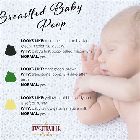 Baby Poop: What is Common and What is Normal? - The Fayetteville Doulas