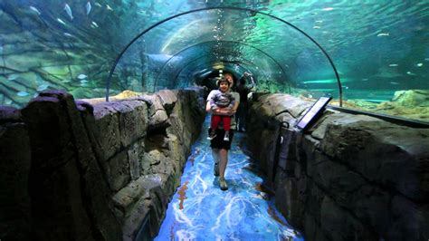 Sea Life Sydney Aquarium, Australia | Beautiful Global