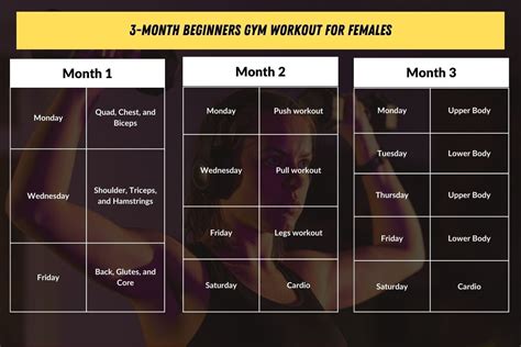 3-Month Gym Workout Plan for Women with PDF