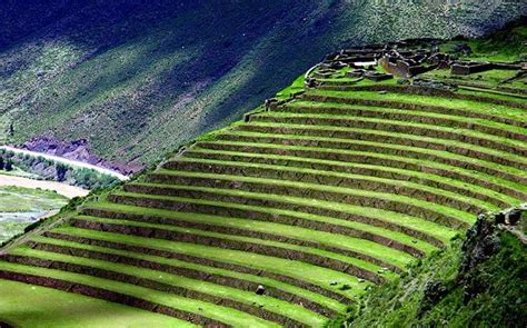 Terrace Farming Was Invented In South American Andes Over 1,000 Years Ago - MessageToEagle.com