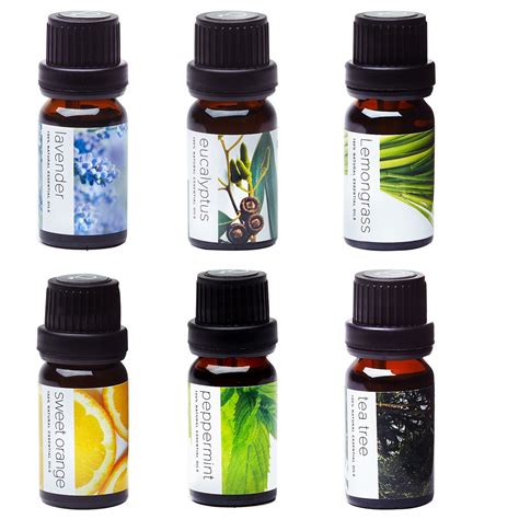 NEW AROMATHERAPY OIL 6 PACK SET ESSENTIAL OILS 1219AO - Uncle Wiener's ...