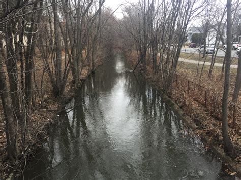 Symposium Explores Alewife Resilience – Belmont Citizens Forum