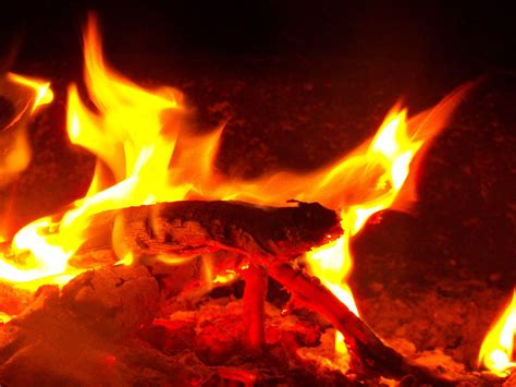Free Images : light, flame, darkness, camping, campfire, fire pit, marshmallow, macro ...