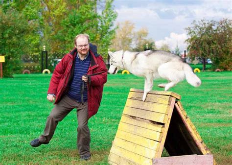 Animal Training Certification - Animal Behavior College