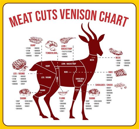 10 Best Meat Butcher Chart Printable PDF for Free at Printablee | Deer ...