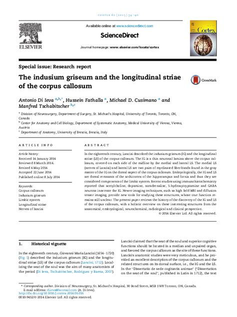 (PDF) The Indusium Griseum and Corpus Callosum Striae