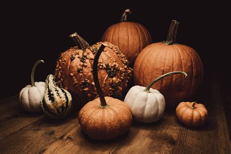 Aggregate 56+ aesthetic pumpkin wallpaper best - in.cdgdbentre