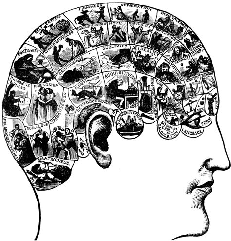 Phrenology | ClipArt ETC