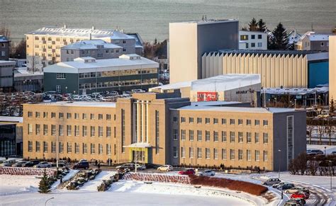 Peace centre at University of Iceland opens - Iceland Monitor