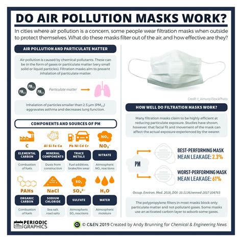 Do Air Pollution Masks Work? | CBC Undergraduate Program