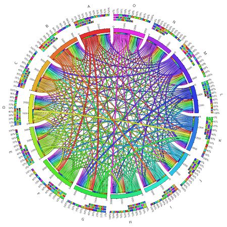 Brain Network Visualization