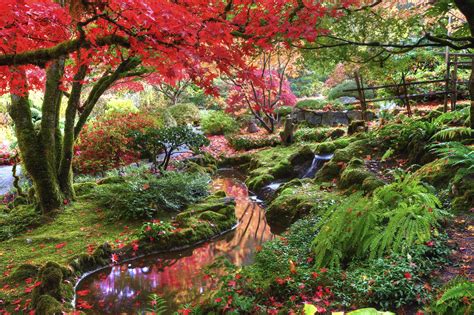 Butchart Gardens, fall colours (0Y4O1841) | The reds in the … | Flickr