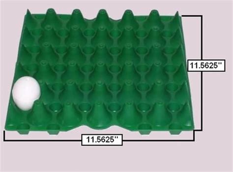 30-Egg Plastic Egg Tray in Green - Packs of 10 or 50 | Stackable Egg Flats Online