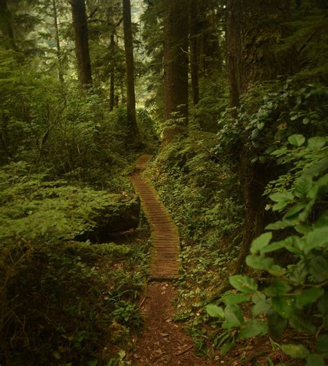 What to know before hiking the West Coast Trail — OUR PRETIREMENT | West coast trail, West coast ...