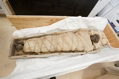 Ancient Egyptian Mummy Had Brains, But No Heart