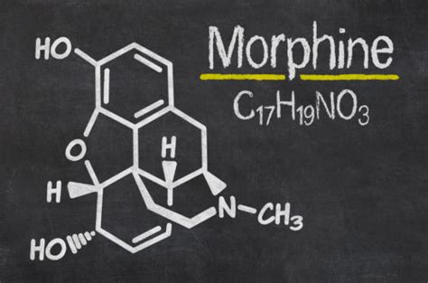 Long Term Effects of Morphine Abuse