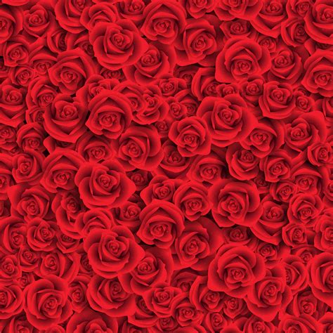 🔥 [74+] Red Rose Backgrounds | WallpaperSafari