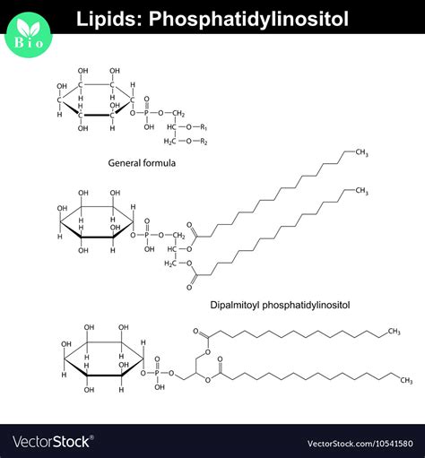 Phosphatidylinositol chemical structure Royalty Free Vector