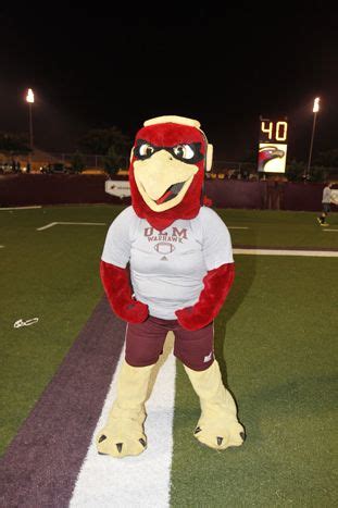 #ace #acethewarhawk #mascot #ulm #warhawknation #warhawks | Mascot, Baseball softball, Ace