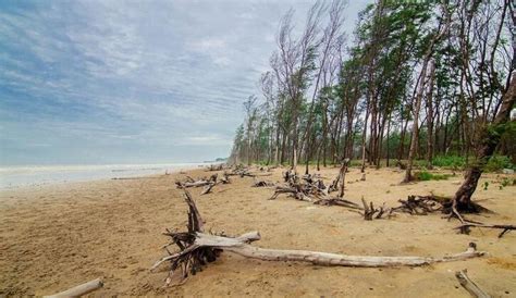 Tajpur Beach Kolkata | WhatsHot Kolkata