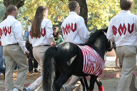 25 Team with Live Mascots-Peruna (SMU Mustangs)-thumbnail | SuperTailgate