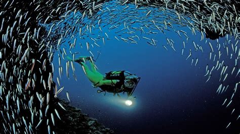 Free Scuba Diving Wallpapers - Wallpaper Cave