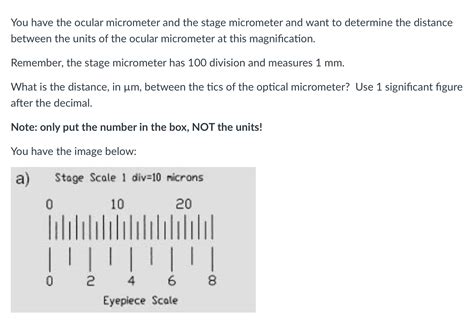 Solved You have the ocular micrometer and the stage | Chegg.com