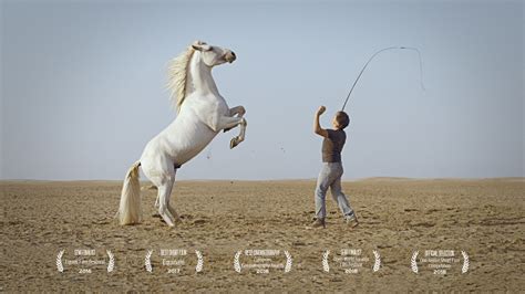 Short Film - The Horse Whisperer | Red Earth Studio