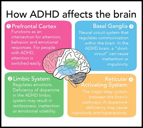 Can adults have Inattentive ADHD? | Inattentive ADHD Coalition