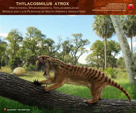 Thylacosmilus | Dinosaurs - Pictures and Facts