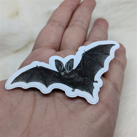 Bat Sticker / Bumper Sticker / Vinyl Sticker / Vintage Image / Phone ...