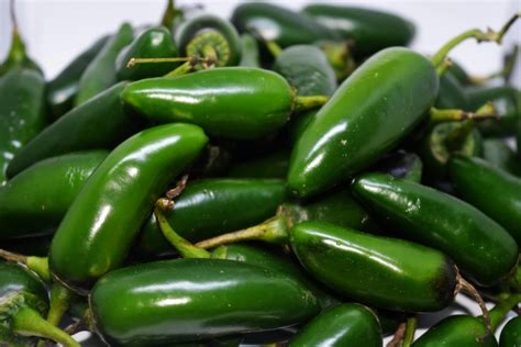 Free stock photo of chile, jalapenos, peppers