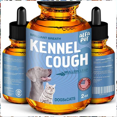 Dog Cough - Kennel Cough - Dog Allergy Relief - Supplements For Dogs & Cats Health - Allergy ...