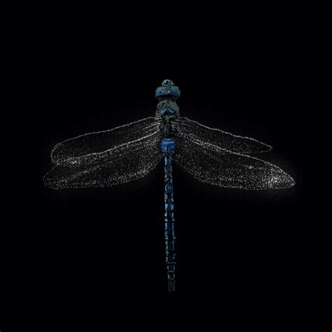 Dragonfly slow motion animation GIF on GIFER - by Flamewalker