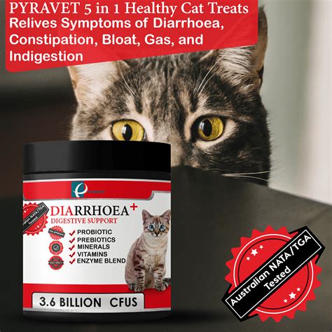 Probiotics for Cats | Cat Probiotics Australia | Pyravet