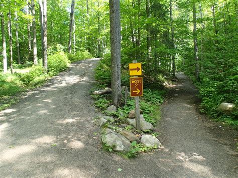 Hiking the day trails of Algonquin Park: The Lookout and Hemlock Bluffs ...