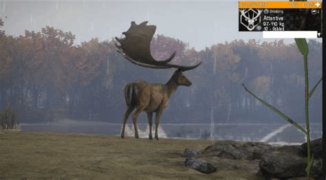 Tried making a Great One Fallow Deer. What would you rate it 1-10? : r/theHunter