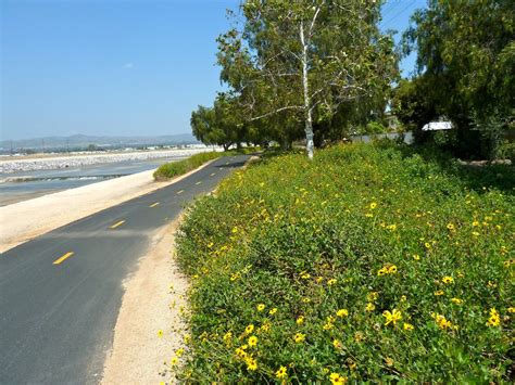 Santa Ana River Trail is an urban trail in Anaheim, California. | River trail, Santa ana ...