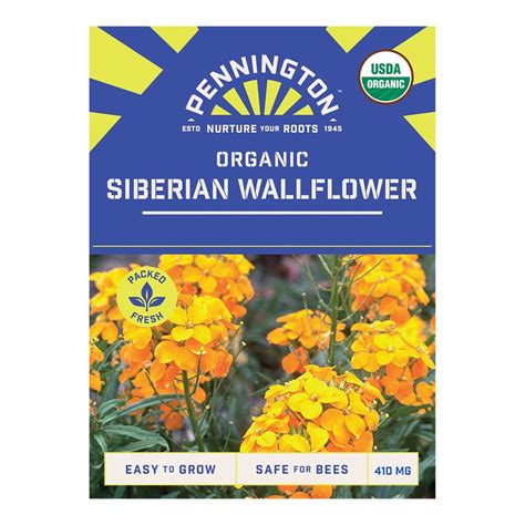 Pennington Organic Siberian Wallflower Seeds