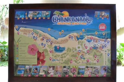 Park Map - Picture of Chankanaab Beach Adventure Park, Cozumel - TripAdvisor