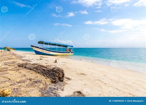 Starfish Beach panama. editorial stock image. Image of exotic - 118099639