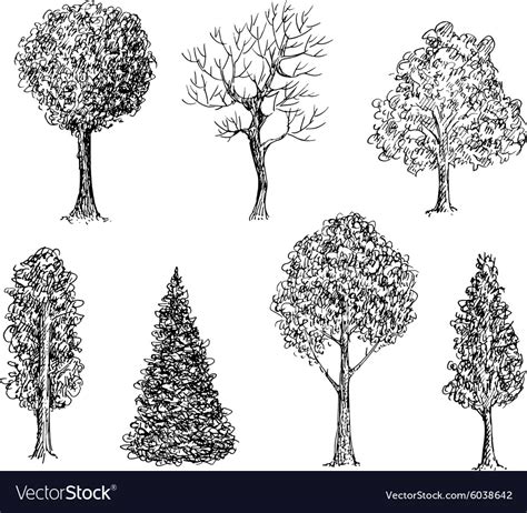 Set of ink hand drawn black and white trees Vector Image