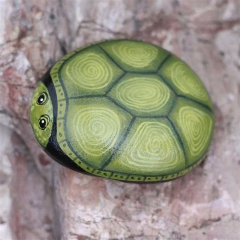 25 Best Turtle Painted Rock Ideas | Turtle rock, Turtle painted rocks, Turtle painting