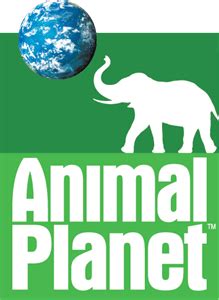 Animal Planet Logo PNG Vector (EPS) Free Download