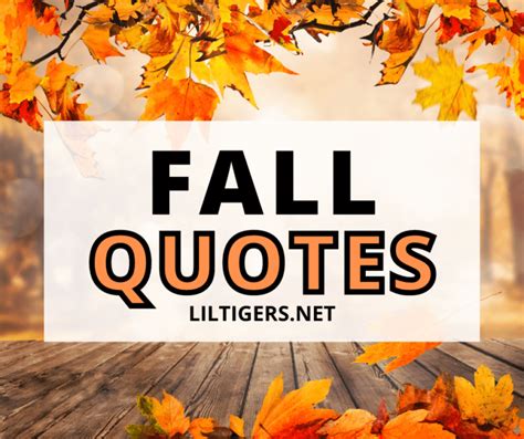 140 Best Fall Quotes and Sayings for Autumn - Lil Tigers