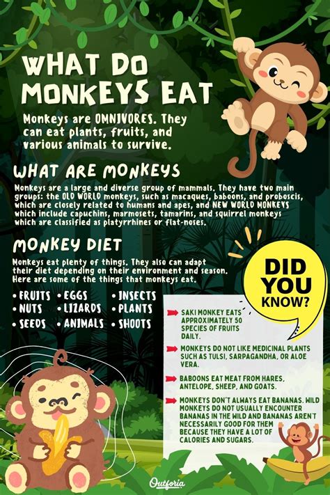 What Do Monkeys Eat? The Surprising Truth Behind Their Diets