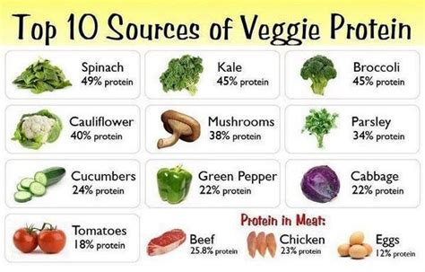 10 High Protein Vegetables - Project Yourself