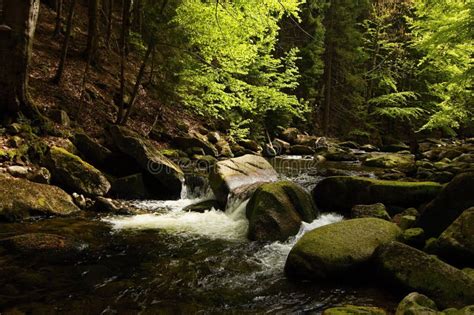 Waterfalls on a Stream in the Forest Stock Image - Image of mountains ...