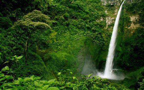 Wallpaper Guatemala, waterfall, green 2880x1800 HD Picture, Image